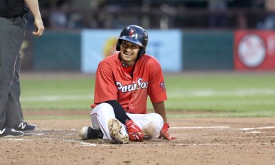 PawSox