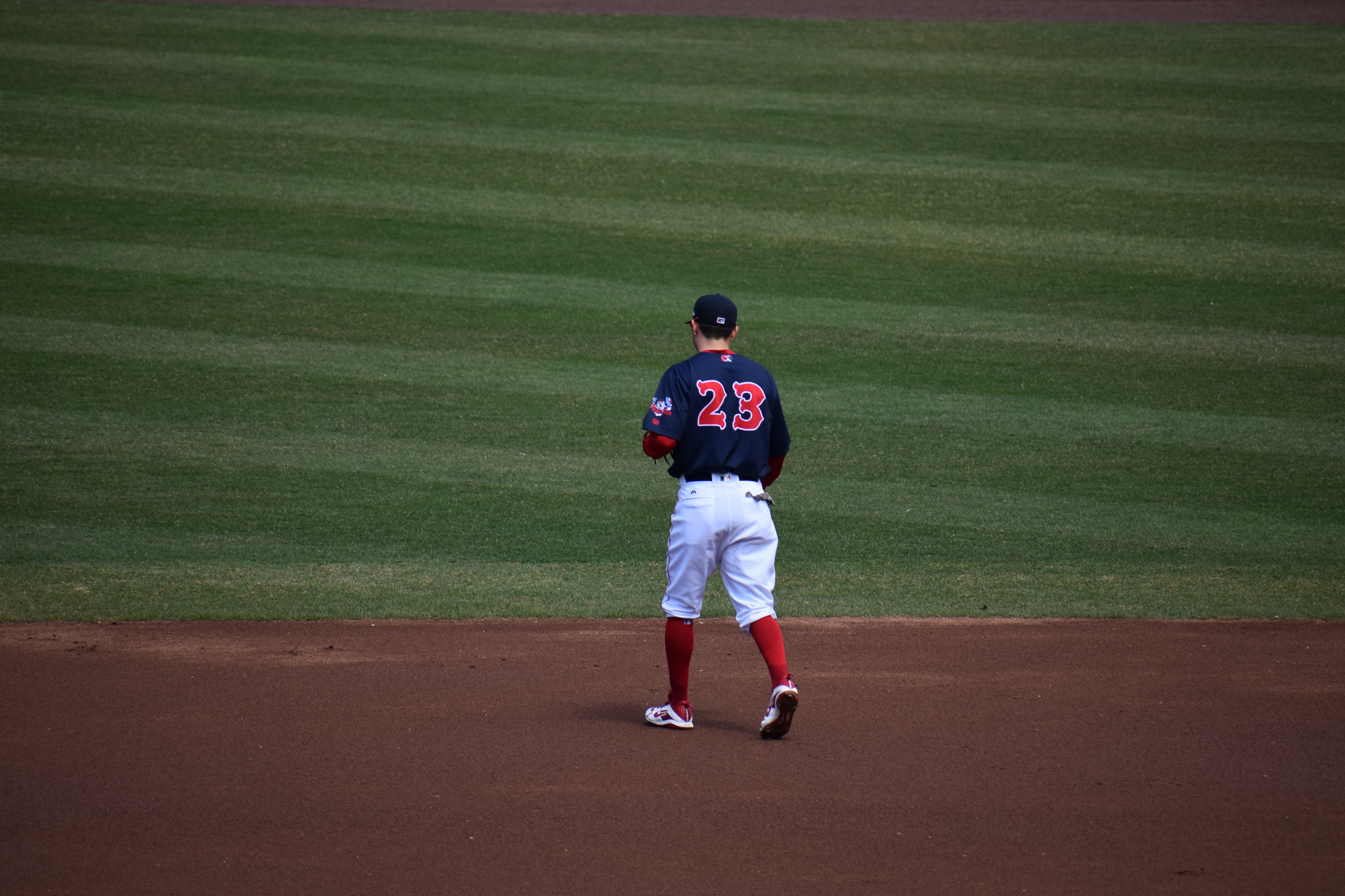 PawSox