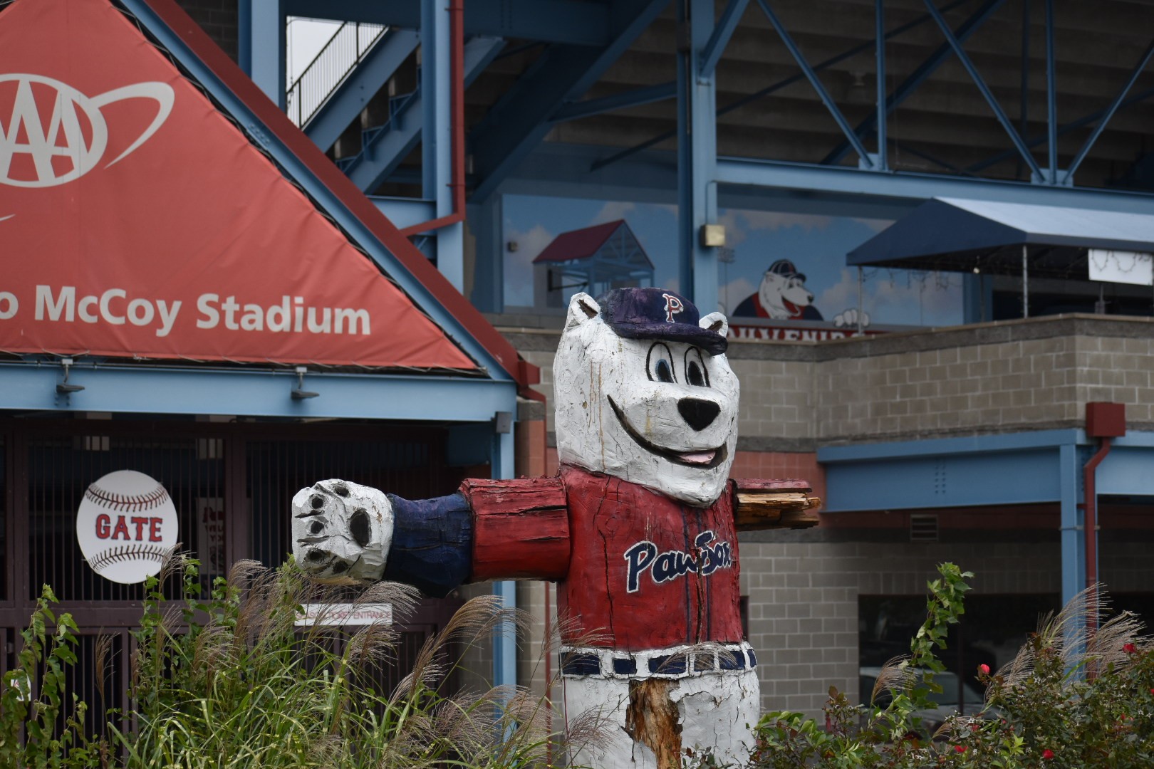 PawSox