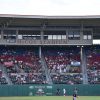 PawSox